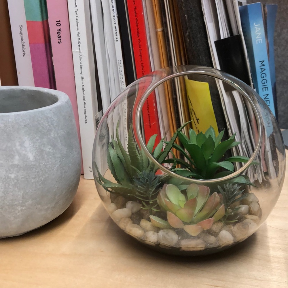Faux Tabletop Succulent in Terrarium